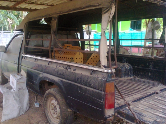 รถนิสันฝาแดง