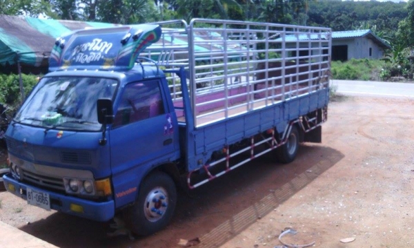 ขาย 6 ล้อ ISUZU KS 22  115 แรงม้า ฝาดำ ยาว 5.50