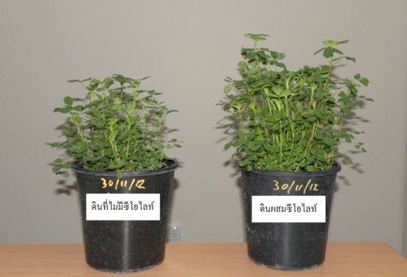 จำหน่ายซีโอไลต์หรือซิลิคอน66-72\% นำเข้าขายที่นครราชสีมา