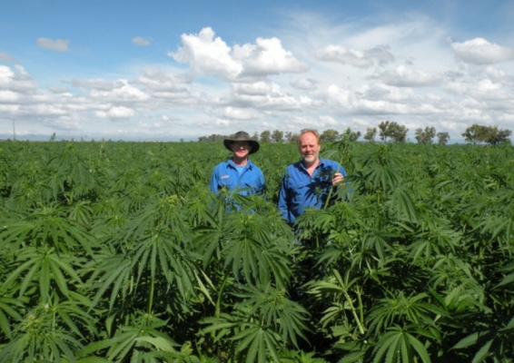 จำหน่ายซีโอไลต์หรือซิลิคอน66-72\% นำเข้าขายที่นครราชสีมา