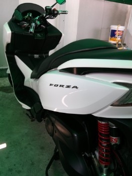 HONDA FORZA300 HONDA FORZA300