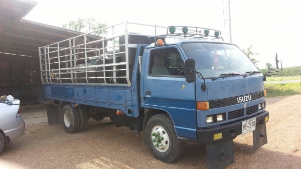 ISUZU NPR59P เครื่อง 100