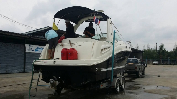 ขาย Sea Ray 260 Sundancer ขาย Sea Ray 260 Sundancer