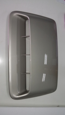 จมูกวีโก้แชมป์