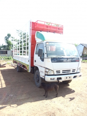 Isuzu NQR175 แรงม้า ยาว5.50ม. คอกสูง 0891446662 ธนากร Isuzu NQR175 แรงม้า ยาว5.50ม. คอกสูง 0891446662 ธนากร