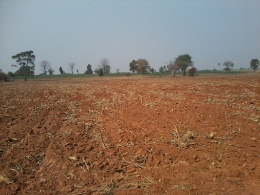 ขายที่ดิน 6 ไร่ ติดถนนคอนกรีต น่าอยู่อาศัย พร้อมด้วยสาธารณูปโภค อ.สีคิ้ว