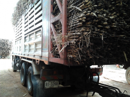 ISUZU DECA FXZ 270 HP EURO1 ปี 45 รถพ่วงแม่+ลูก กระบะดั๊มพ์เหล็กคอกเกษตร 12 ตันสภาพสวย ลูก 2 คานดั๊มพ์ของอู่ราชเจริญ เครื่องดีภายในเก๋งสวยครบ แอร์เย็น พวงมาลัยเพาเวอร์ เบรคทริ๊ปฟี้ครบครัน ช่วงล่างคัชซีสวย ยางสภาพดีทั้งแม่ทั้งลูกพร้อมบรรทุกพร้อมใช้งาน เอกส ISUZU DECA FXZ 270 HP EURO1 ปี 45 รถพ่วงแม่+ลูก กระบะดั๊มพ์เหล็กคอกเกษตร 12 ตันสภาพสวย ลูก 2 คานดั๊มพ์ของอู่ราชเจริญ เครื่องดีภายในเก๋งสวยครบ แอร์เย็น พวงมาลัยเพาเวอร์ เบรคทริ๊ปฟี้ครบครัน ช่วงล่างคัชซีสวย ยางสภาพดีทั้งแม่ทั้งลูกพร้อมบรรทุกพร้อมใช้งาน เอกส