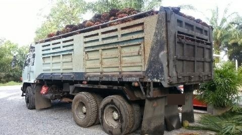 ขาย 10 ล้อดั๊ม ISUZU 210 แรงม้า เกียรธรรมดา สโลว์กลาง สนใจโทร 0819701072