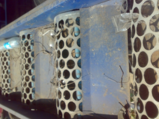 ขายเครื่องคัดมะนาว