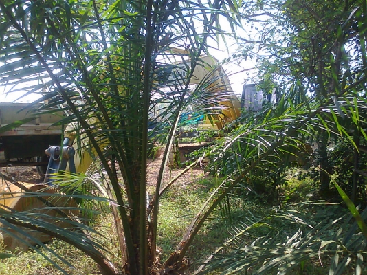 ขายด่วน!..รถหกล้อ ISUZU 120 แรง ประหยัด เฟืองท้ายใหญ่ เงียบ แรง พร้อมใช้ สุดขีด ทะเบียนครบ ต่อรองราคาได้.