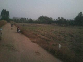 ขายที่ดิน 4ไร หน้ากว้าง 40-50 เมตร ติดถนนลูกรังหางจากถนนดำ 700 เมตร