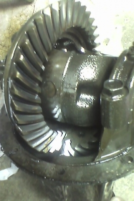 ขายเฟืองท้ายtoyota 8x39 ขายเฟืองท้ายtoyota 8x39