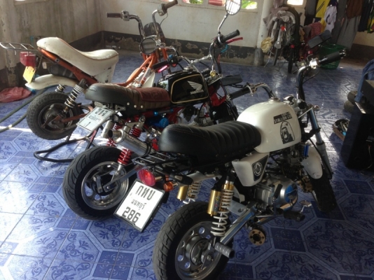 ขาย stallion mini125cc