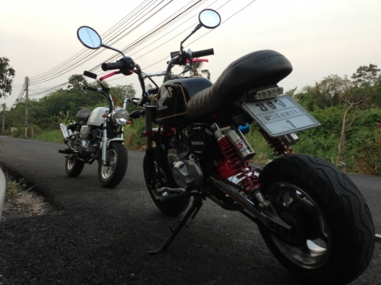 ขาย stallion mini125cc