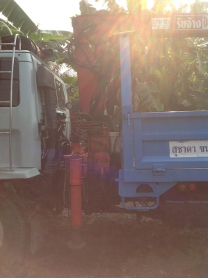 ขายเครน