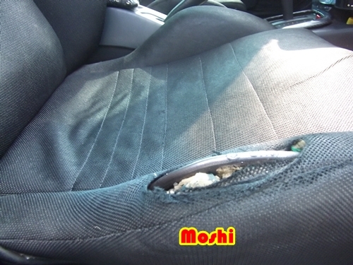 ขายเบาะ Racing สถาพสวยราคาถูก ขายเบาะ Racing สถาพสวยราคาถูก