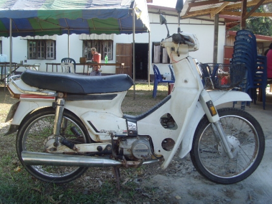 ขายดรีมตูดเป็ดครับ สภาพเดิมๆ มีทะเบียน