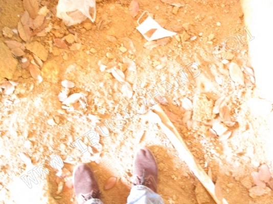 รถบรรทุก 6 ล้อ ยี่ห้อ HINO