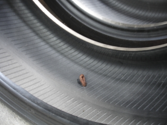 TOYO T1R made japan 225 45 17ปี09มี1คู่รับเอง2500 TOYO T1R made japan 225 45 17ปี09มี1คู่รับเอง2500