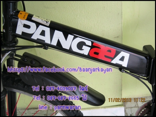 เสือภูเขาพับได้ PANGAEA เสือภูเขาพับได้ PANGAEA