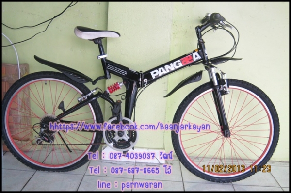 เสือภูเขาพับได้ PANGAEA เสือภูเขาพับได้ PANGAEA