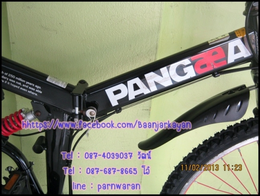 เสือภูเขาพับได้ PANGAEA เสือภูเขาพับได้ PANGAEA