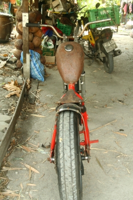 โครงหลังแข็ง