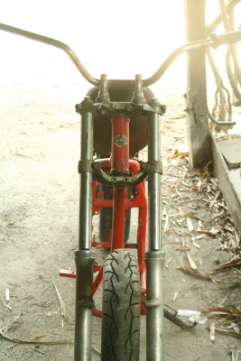 โครงหลังแข็ง