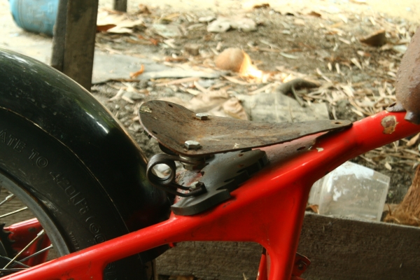 โครงหลังแข็ง