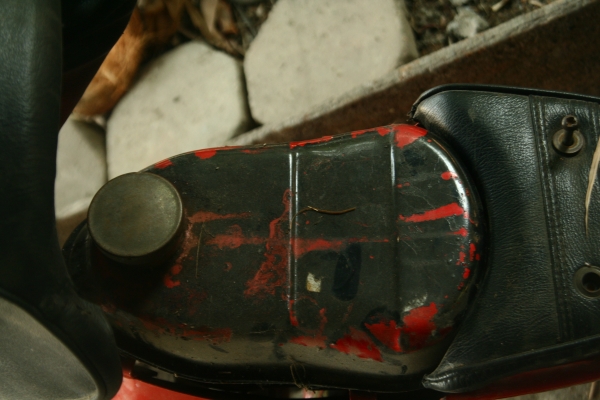 โครงชาลี