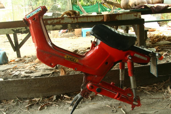 โครงชาลี