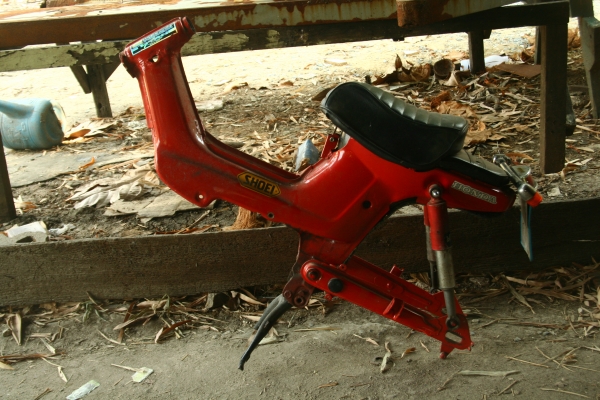 โครงชาลี