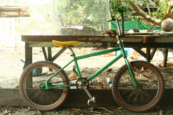 BMX เฟสสันหน้าโอสคูล