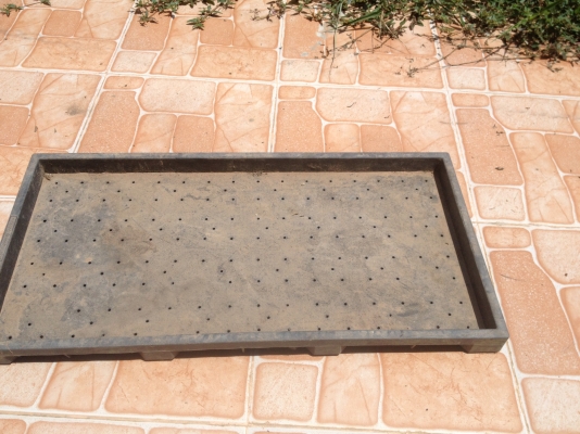 ขาย รถดำนา ขาย รถดำนา