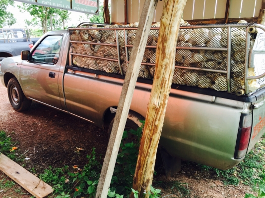 ขายครับใช้งานได้ปกติแอร์เย็นเพาเวอร์รถผมเองครับ 0871691151