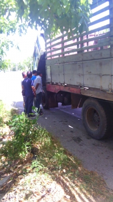 กำลังเดินทางกลับ จ.ตราด~จ.นครปฐม((เสียอะนันต์มารับรถกลับบ้านแล้วครับ))มิตรซู FUSO FN 215 K~175 เพาเดียว สภาพดีเดิมพร้อมใช้งาน เล่มทะเบียน ภาษีเต็ม พร้อมโอน