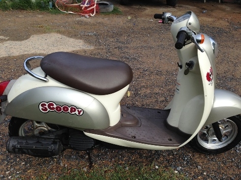 รถป๊อบ Scoopy