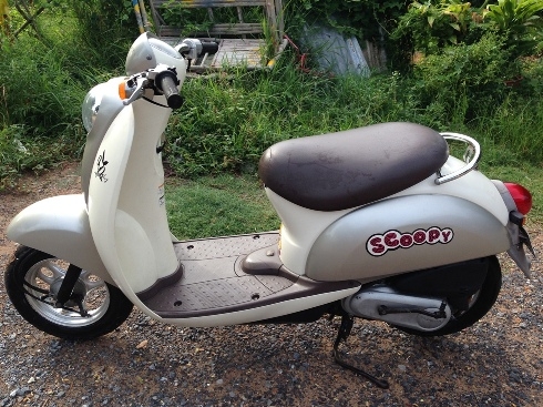 รถป๊อบ Scoopy