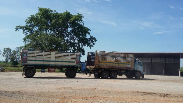 ISUZU ROCKY แม่+ ลูก ดัมพ์ 240 แรงม้า ปีจดทะเบียน 2544 ISUZU ROCKY แม่+ ลูก ดัมพ์ 240 แรงม้า ปีจดทะเบียน 2544