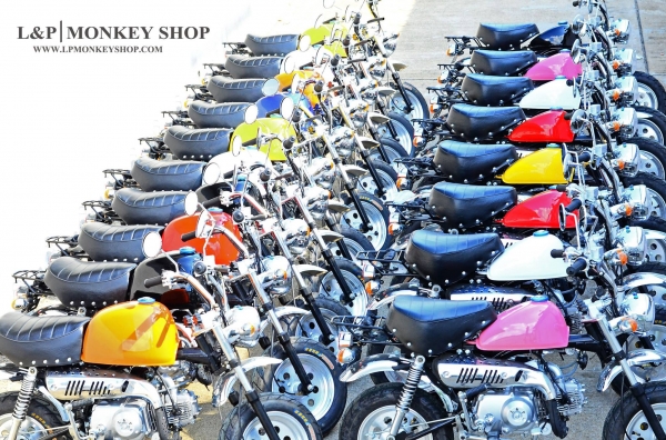 มังกี้ กอลิล่า แต่งๆๆ ลดราคาทุกรุ่นและมีของแถมอีกมากมาย  ด่วนๆๆ ลดๆๆ