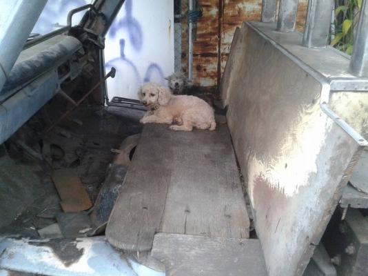 ขายหัวรถโบราณ เผื่อมีคนสนใจครับ ขายหัวรถโบราณ เผื่อมีคนสนใจครับ