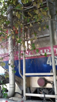 ขายถังน้ำมันแสตนเลส. ขายถังน้ำมันแสตนเลส.