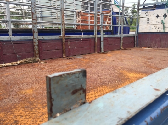 ด่วนๆๆๆครับ. ขายครับ 115 ถูกๆๆๆๆ เหลือ 305000 บามครับ