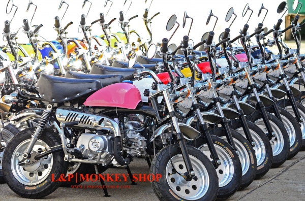 มังกี้ กอลิล่า แต่งๆๆ ลดราคาทุกรุ่นและมีของแถมอีกมากมาย  ด่วนๆๆ ลดๆๆ