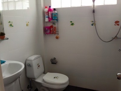 ขายโรงงาน ขนาด 150 ตารางวา อ.สามพราน