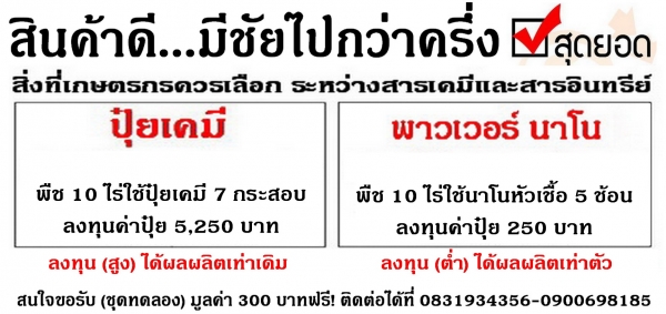 นาโนพาวเวอร์ อาหารเสริมพืช