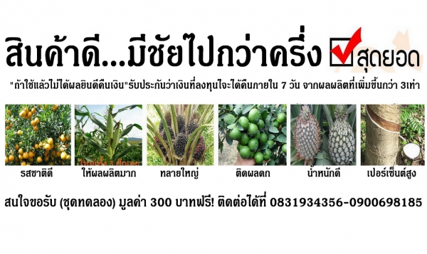 นาโนพาวเวอร์ อาหารเสริมพืช นาโนพาวเวอร์ อาหารเสริมพืช