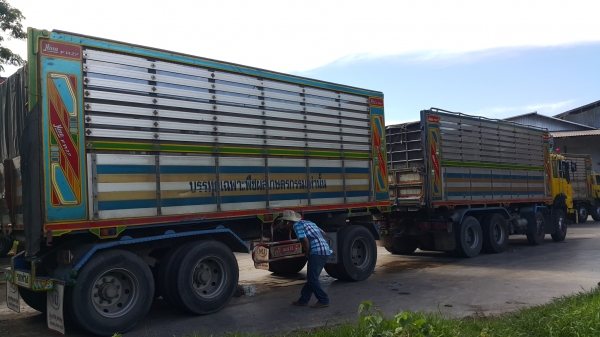 ขายรถพ่วง 24 ล้อ แม่-ลูก กระบะเนียมคอกเกษตรดั้ม HINO PROFIA P11C-320 เกียร์ฟูเลอร์ รถสวย ราค 1500000 ต่อรอง สนใจโทรจองด่วน ขายรถพ่วง 24 ล้อ แม่-ลูก กระบะเนียมคอกเกษตรดั้ม HINO PROFIA P11C-320 เกียร์ฟูเลอร์ รถสวย ราค 1500000 ต่อรอง สนใจโทรจองด่วน