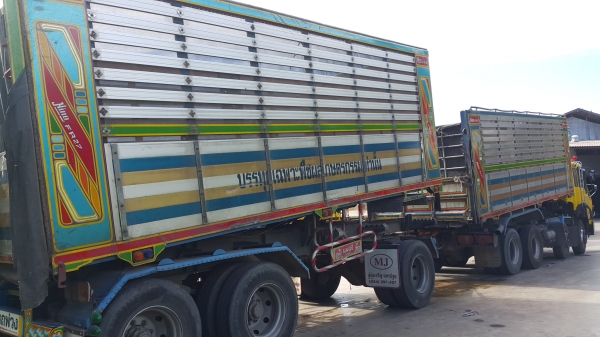 ขายรถพ่วง 24 ล้อ แม่-ลูก กระบะเนียมคอกเกษตรดั้ม HINO PROFIA P11C-320 เกียร์ฟูเลอร์ รถสวย ราค 1500000 ต่อรอง สนใจโทรจองด่วน ขายรถพ่วง 24 ล้อ แม่-ลูก กระบะเนียมคอกเกษตรดั้ม HINO PROFIA P11C-320 เกียร์ฟูเลอร์ รถสวย ราค 1500000 ต่อรอง สนใจโทรจองด่วน