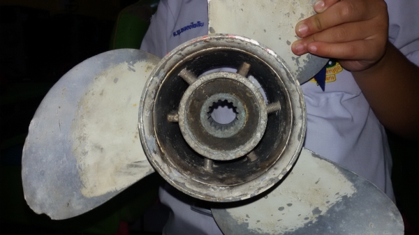 ใบพัดเรือเร็ว